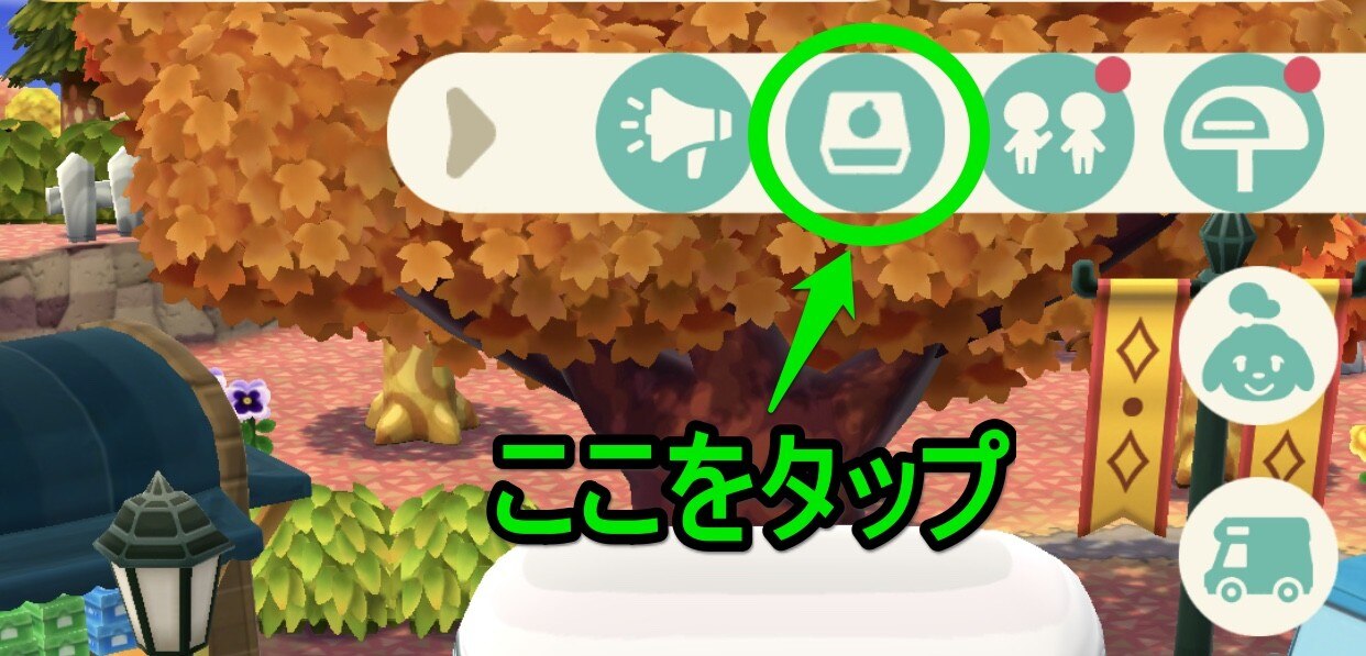 バザー6