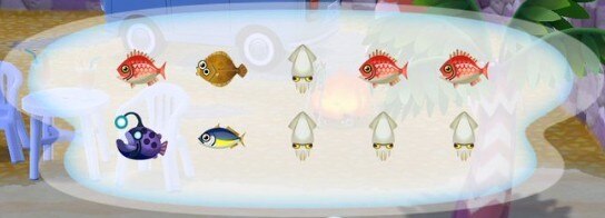 チョウチンアンコウ (2)