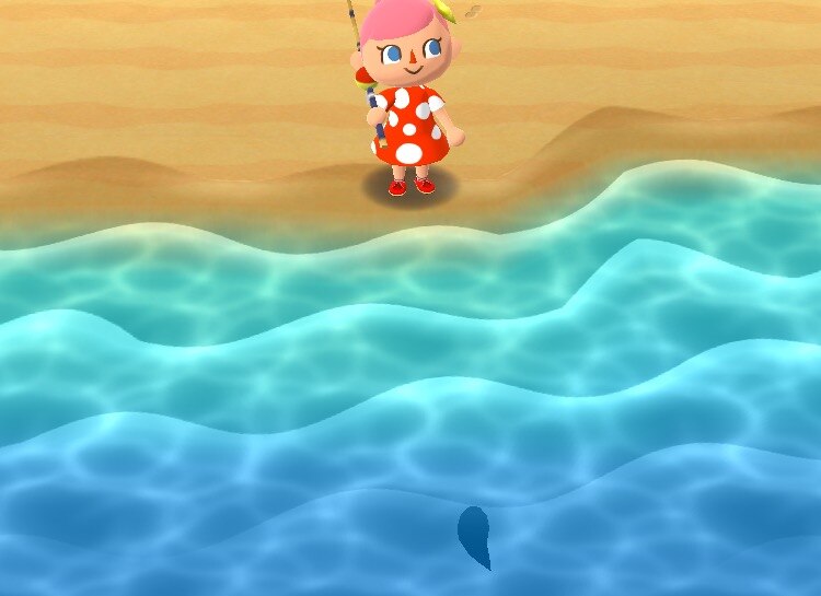 サカナ再出現
