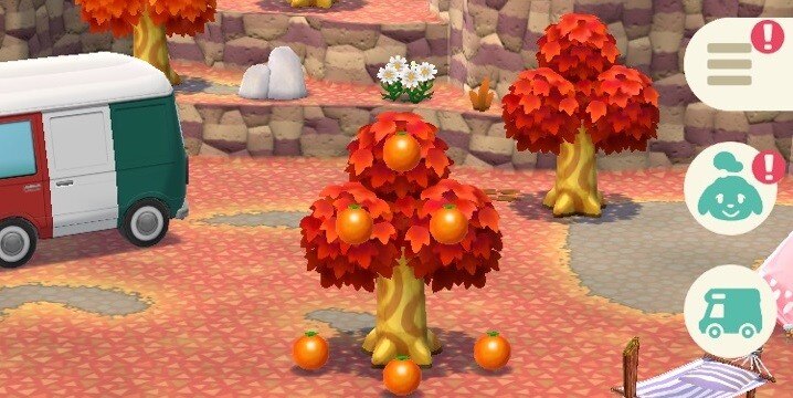フルーツストック