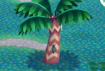 tamamusi