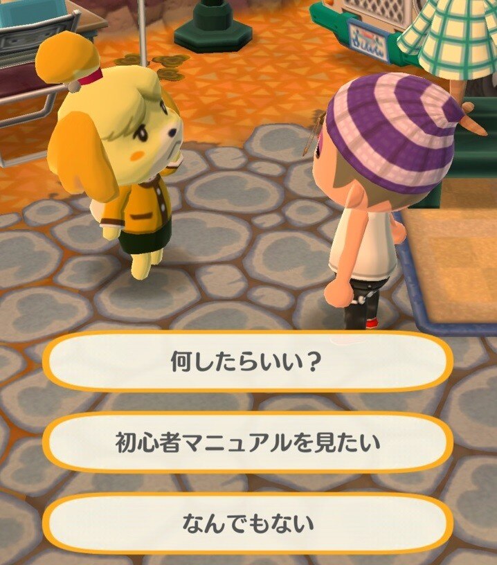 案内