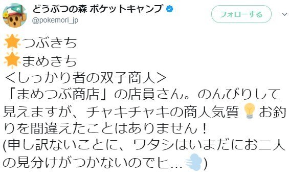 双子