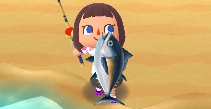 マグロ捕まえた