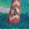 アルテマロゴ