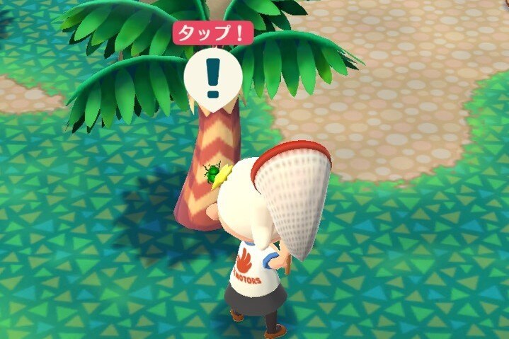 虫タッチ