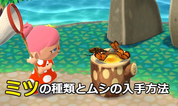 ミツの種類と入手できるムシ