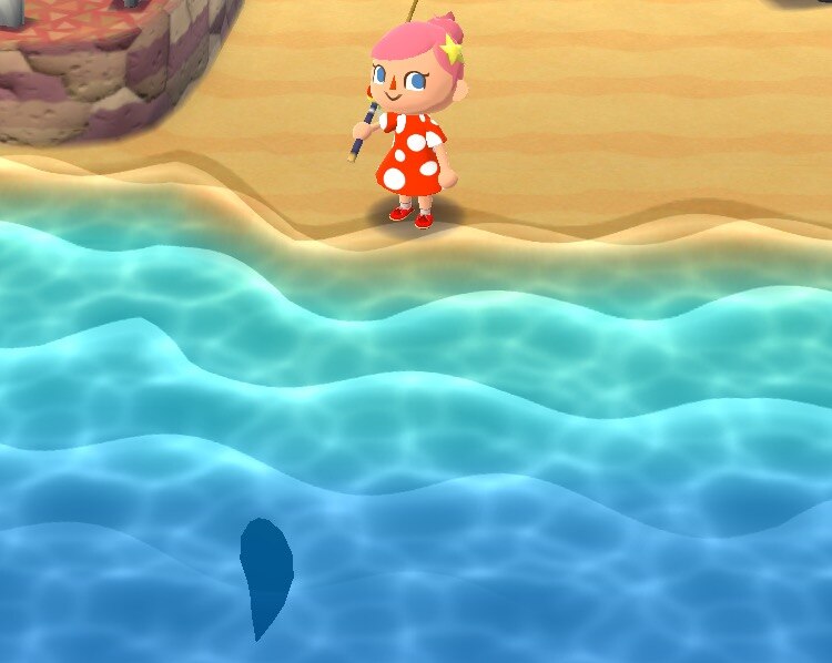 魚影