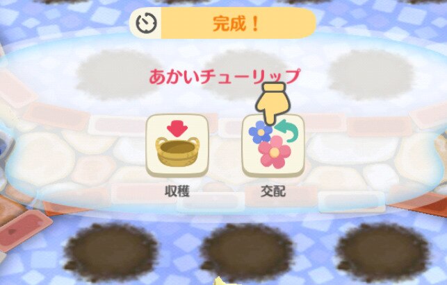 交配花選択