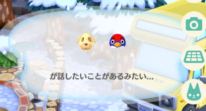 写真撮影 