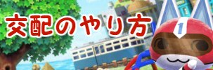 交配のやり方
