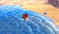 夏エリア