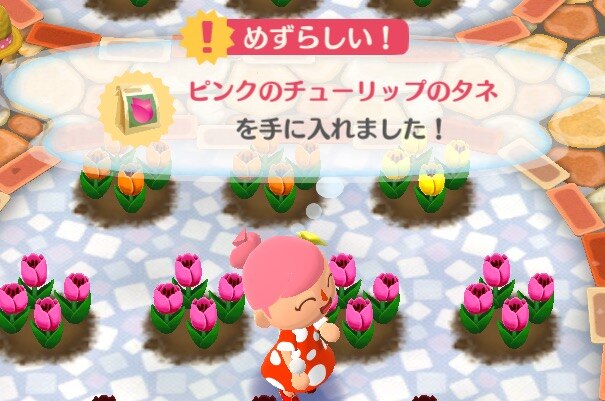 めずらしい