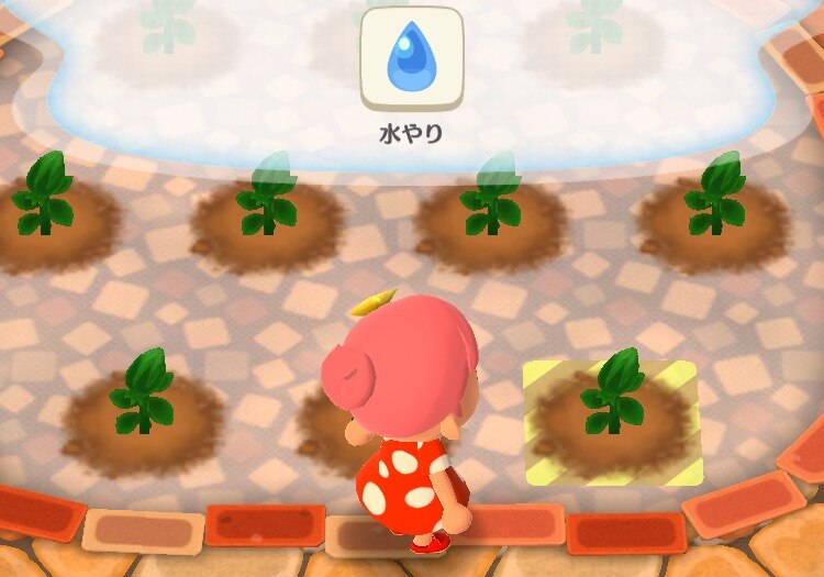 水やりタップ
