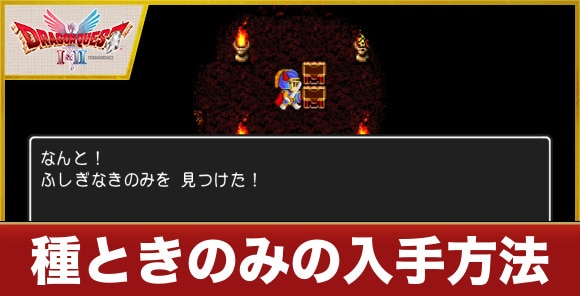 種ときのみの入手方法