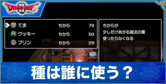 【ドラクエ2リメイク】種は誰に使うのがおすすめ?最大値とタイミングを解説!【ドラゴンクエスト1&2】