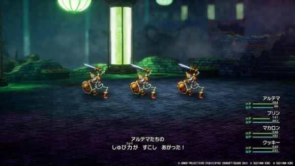 スクルトを維持してダメージを抑える