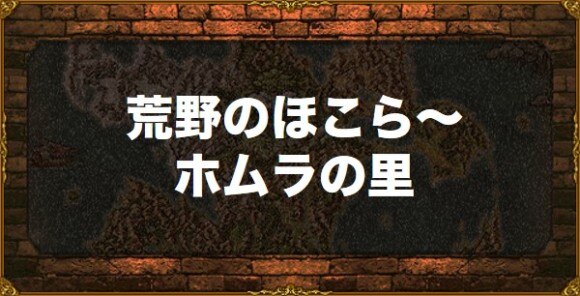 ドラクエ11s 荒野のほこら ホムラの里攻略チャート アルテマ