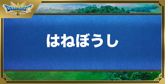 はねぼうしの効果と入手方法