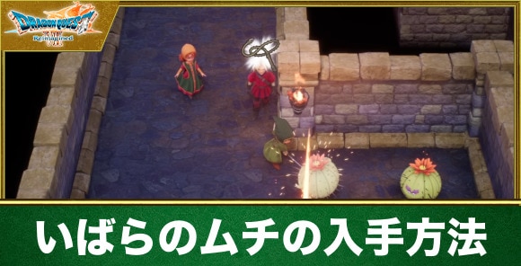 いばらのムチの入手方法とドロップ率