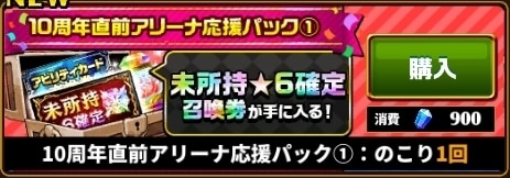 アリーナ応援パック