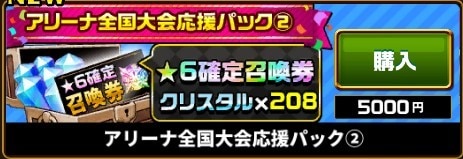 アリーナ全国大会応援パック②