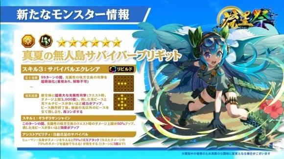 真夏の無人島サバイバーブリギット