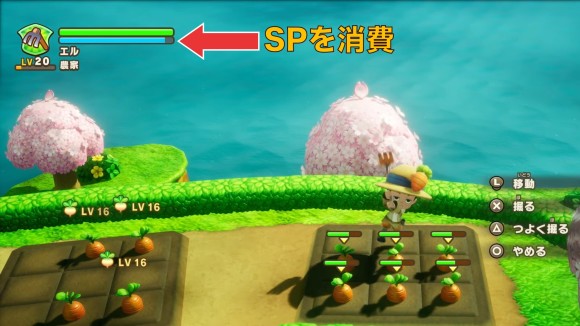 野菜を収穫できる
