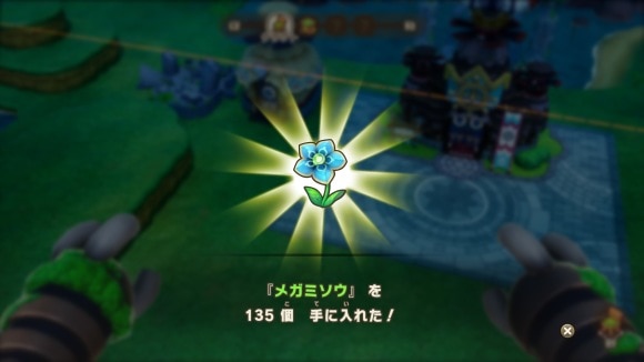 メガミソウ