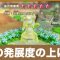 アルテマロゴ