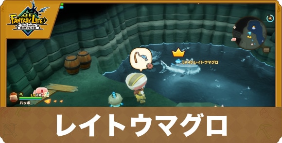 レイトウマグロ