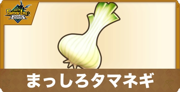 まっしろタマネギ