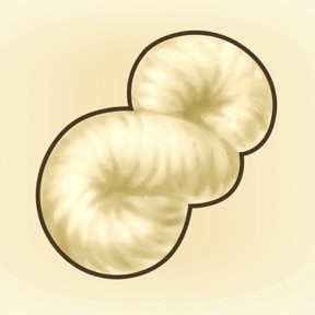 絹糸