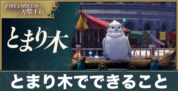 とまり木でできること