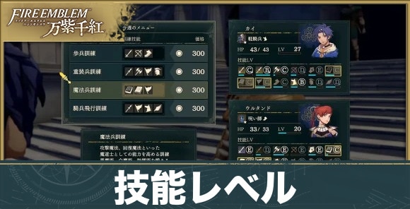 【ファイアーエムブレム万紫千紅】技能レベル