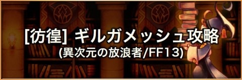 異次元の放浪者FF13