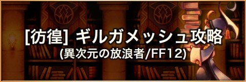 異次元の放浪者FF12
