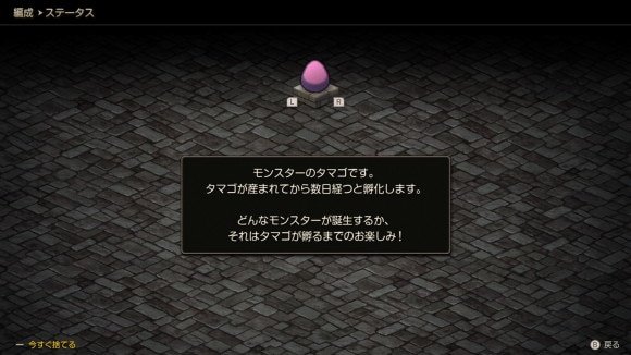 卵の孵化を待つ