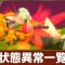 アルテマロゴ