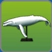 白いクジラの置物