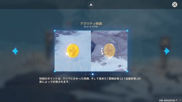 アジリティ特訓　スコア