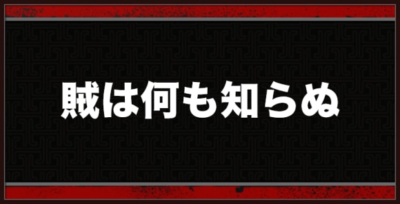 賊は何も知らぬ