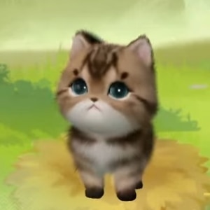 猫・キジ白ちゃん