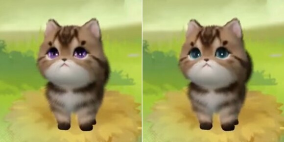 目の色が異なる