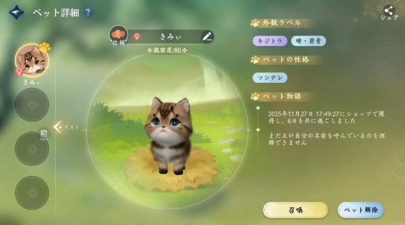 ペットを召喚して一緒に探索できる