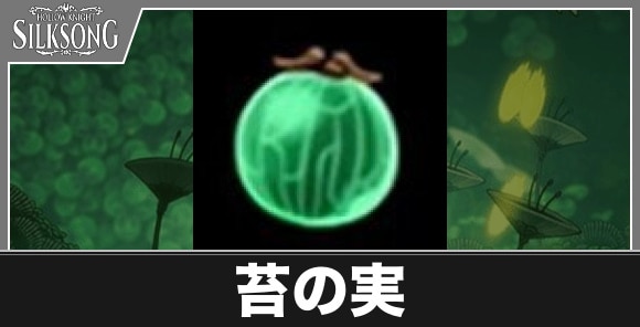 苔の実