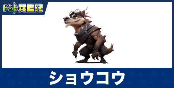 ショウコウのスキルと評価