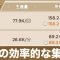 アルテマロゴ
