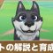 アルテマロゴ