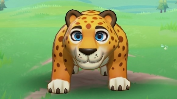 チーター